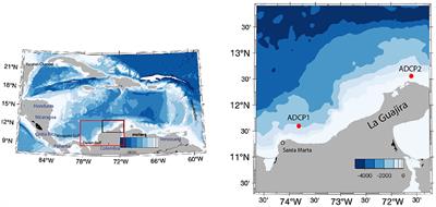 On the Impact of the Caribbean Counter Current in the Guajira Upwelling System